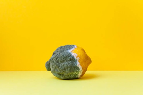 yellow lemon covered with gray mold - food stock pictures, royalty-free photos & images