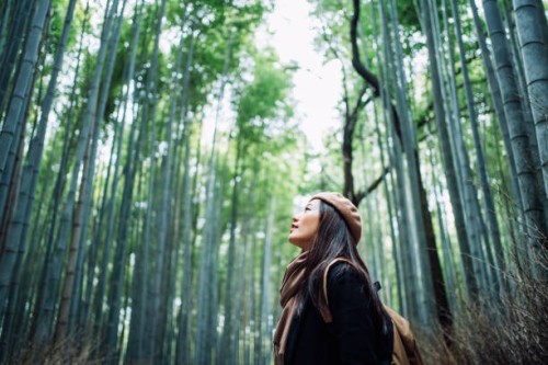 young asian female backpacker enjoying in nature. taking a deep breath of fresh air while having a relaxing walk in the bamboo forest in the countryside during the outbreak of coronavirus pandemic - travel photos et images de