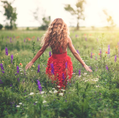 young beautiful woman in poppy field - fashion stock pictures, royalty-free photos & images