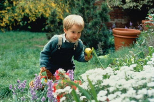 young boy (3-5) looking for easter eggs amongst plants in garden - garden decoration stockfoto's en -beelden