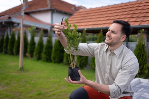 young caucasian gardener using hedge clippers while pruning the potted plant - garden decoration stock pictures, royalty-free photos & images