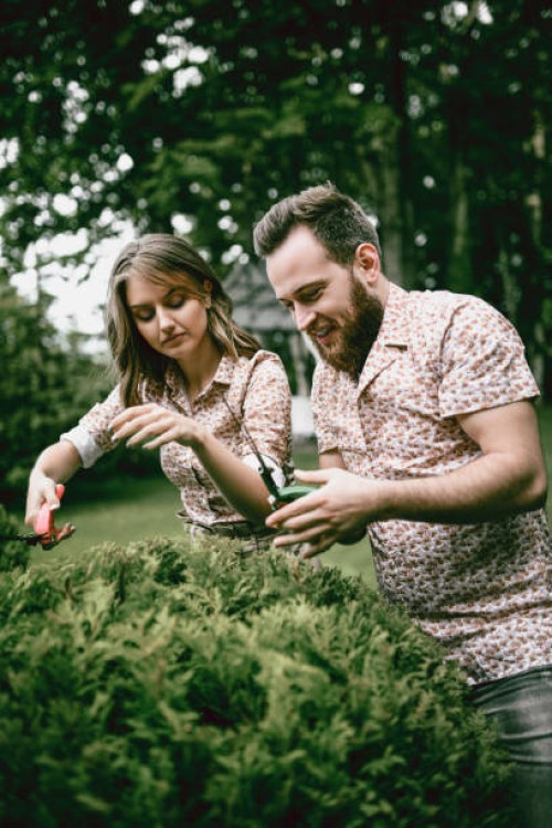 young couple trimming hedges in back yard - garden decoration stock pictures, royalty-free photos & images