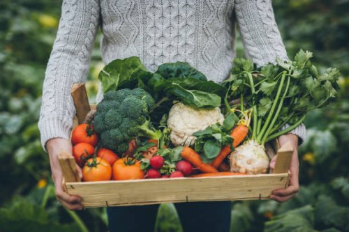 young farmer with crate full of vegetables - food stock pictures, royalty-free photos & images