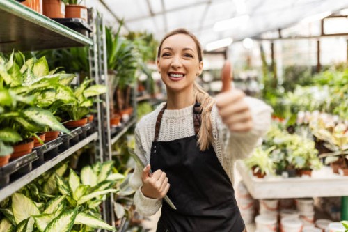 young florist working in greenhouse holding thumbs up - garden decoration stock pictures, royalty-free photos & images