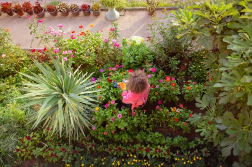 young male gardener in the garden - garden decoration stock pictures, royalty-free photos & images