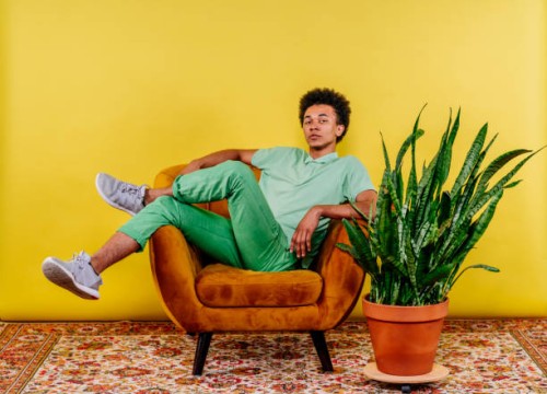 young man sitting on armchair by plant - home decoration stock pictures, royalty-free photos & images