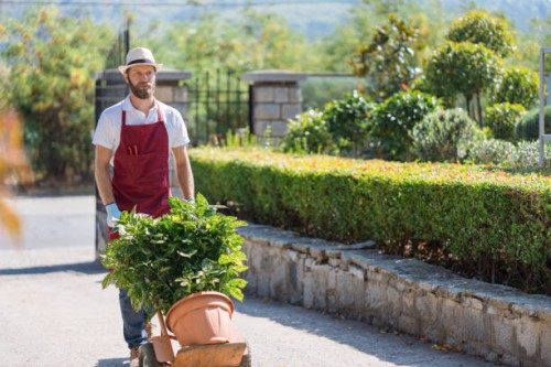 young man working in the garden - garden decoration stock pictures, royalty-free photos & images
