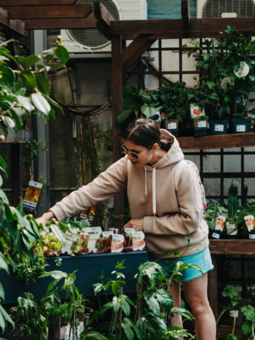 young woman chooses herb seedlings in the garden center - garden decoration stock pictures, royalty-free photos & images