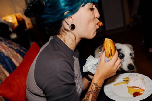 young woman enjoying a burger at home with her dog watching - junk food stock pictures, royalty-free photos & images