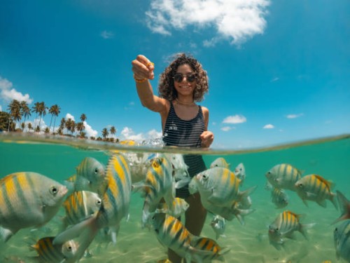 young woman feeding fish on tropical beach - food stock pictures, royalty-free photos & images