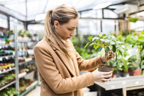 young woman in garden center buying potted plants - garden decoration stock pictures, royalty-free photos & images