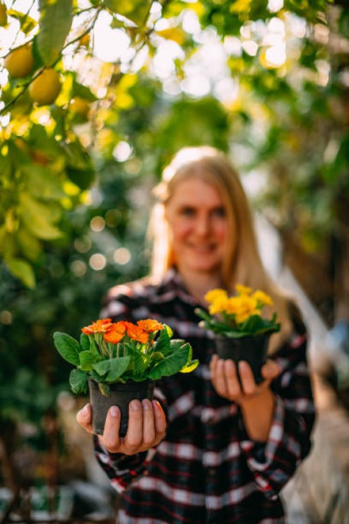 young woman is holding colorful flowers in pots in her garden - garden decoration stock pictures, royalty-free photos & images