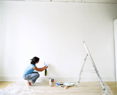 young woman looking at paint samples, side view - home decoration stock pictures, royalty-free photos & images