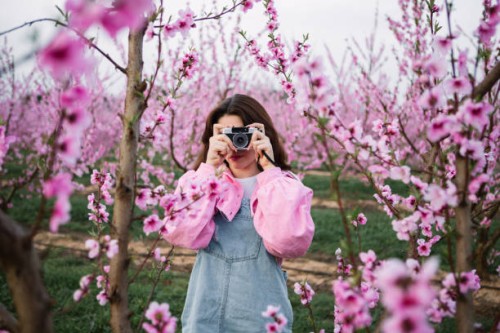 young woman taking photos of blossoming fruit trees with a retro camera in spring - fashion stock pictures, royalty-free photos & images