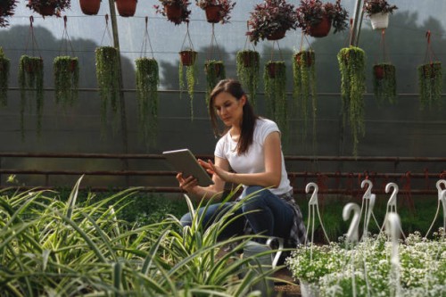 young woman with digital tablet in the greenhouse. - garden decoration stock pictures, royalty-free photos & images