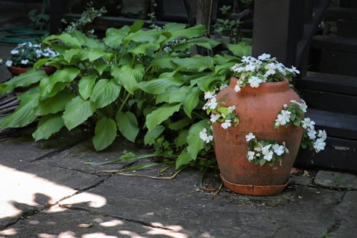 your zen-like flower garden - garden decoration stock pictures, royalty-free photos & images